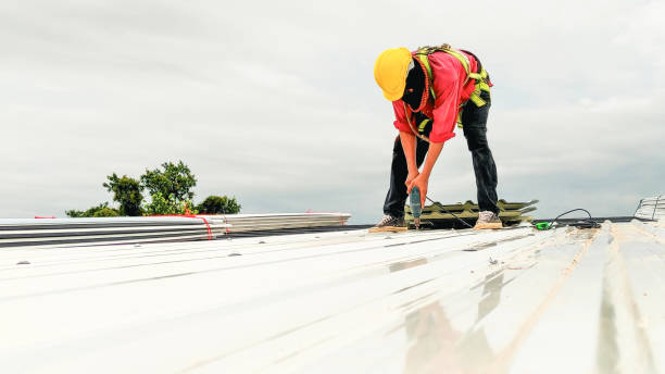 Best Roof Leak Repair  in Belford, NJ